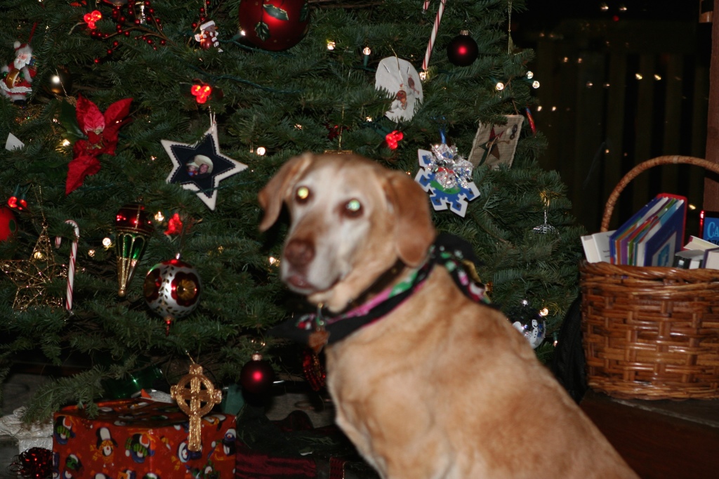 2010-12-24 Christmas in CO 43.jpg